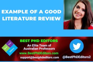 Literature Review Example